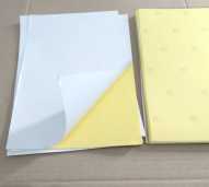 Kertas Label/Stiker A4 isi 50 Lbr