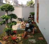 Peneliharaan taman