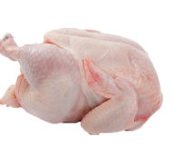daging ayam ras