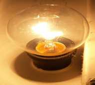 lampu pijar khusus 25wt