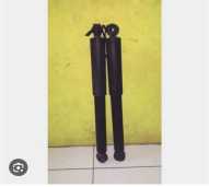 shock belalang rus
