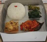 Nasi kotak biasa