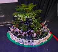 Sewa Mini garden