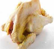daging ayam kampung