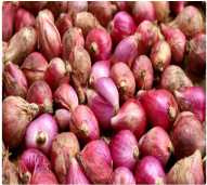 Bawang Merah