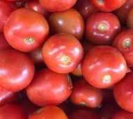 Tomat Merah Besar