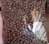 Pakan Grower