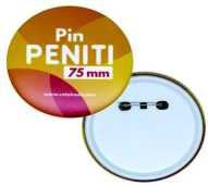 Pin