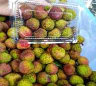 leci madu